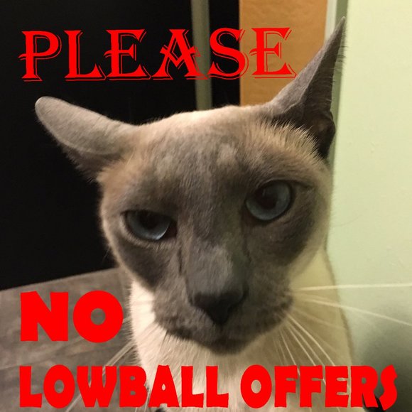 PLEASE NO LOWBALL OFFERS! - Picture 1 of 3